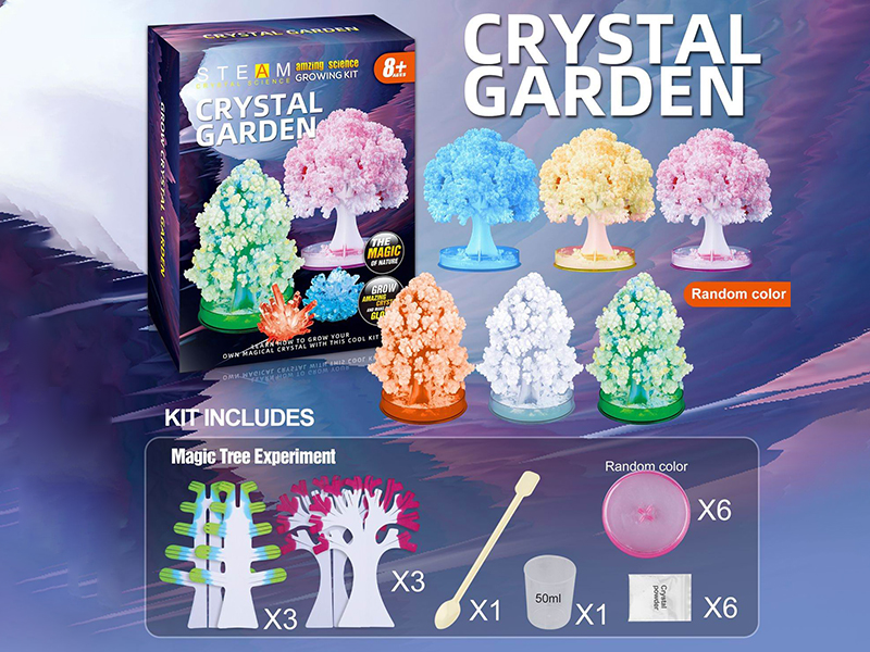 Magic Tree Growing Experiment(6 Trees)