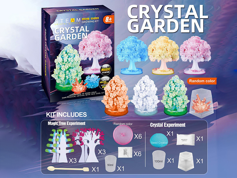 Magic Tree And Crystal Growing Experiment(6 Trees,1 Seed Crystal)