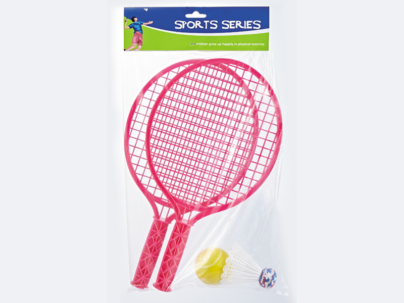 2 In 1 Tennis And Badminton