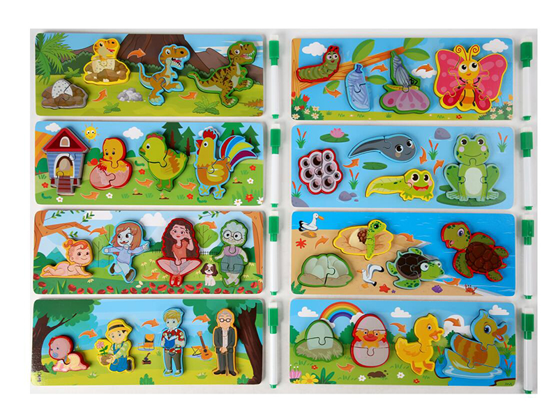 Wooden Puzzle With Writing Fountain Pen