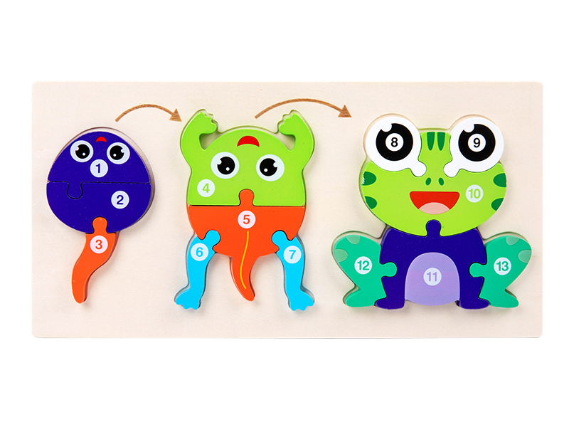 Wooden Frog Growing Process 3D Puzzle