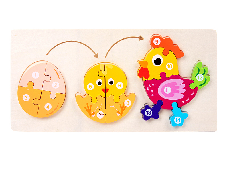 Wooden Chicken Growing Process 3D Puzzle
