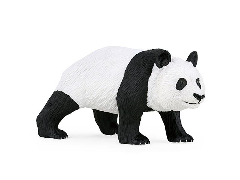 Panda Animal Model
