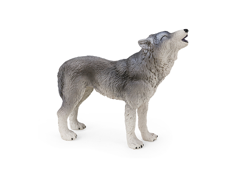 Wolf Animal Model
