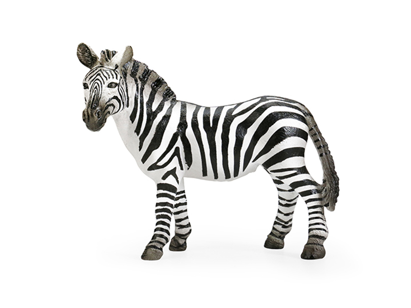 Female Zebra Animal Model