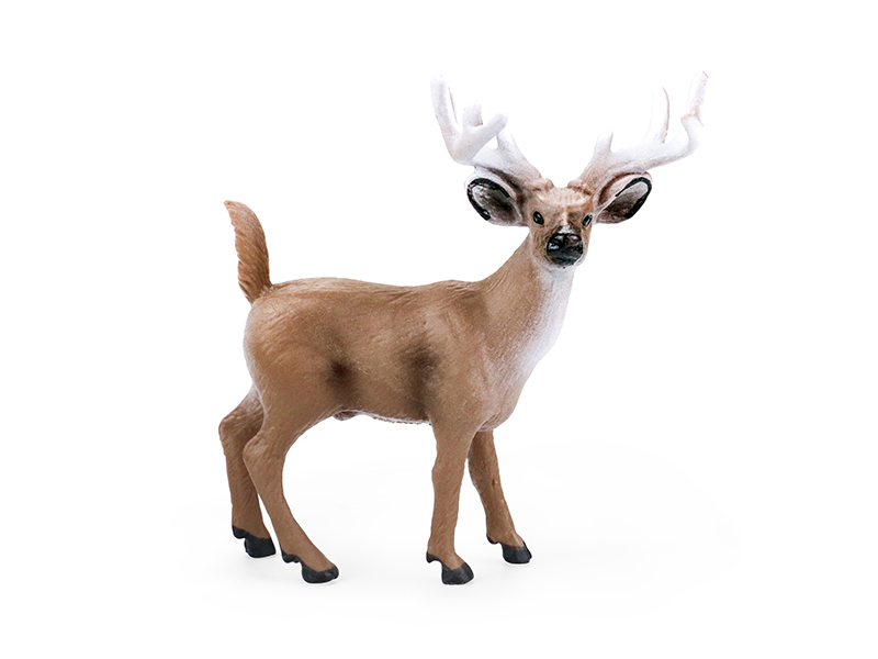 White-Tailed Deer Animal Model