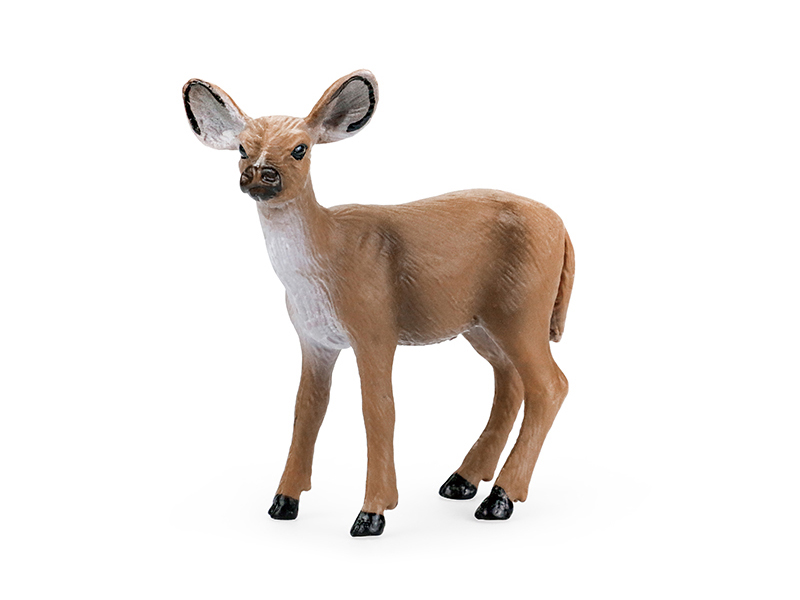 Female White-Tailed Deer Animal Model