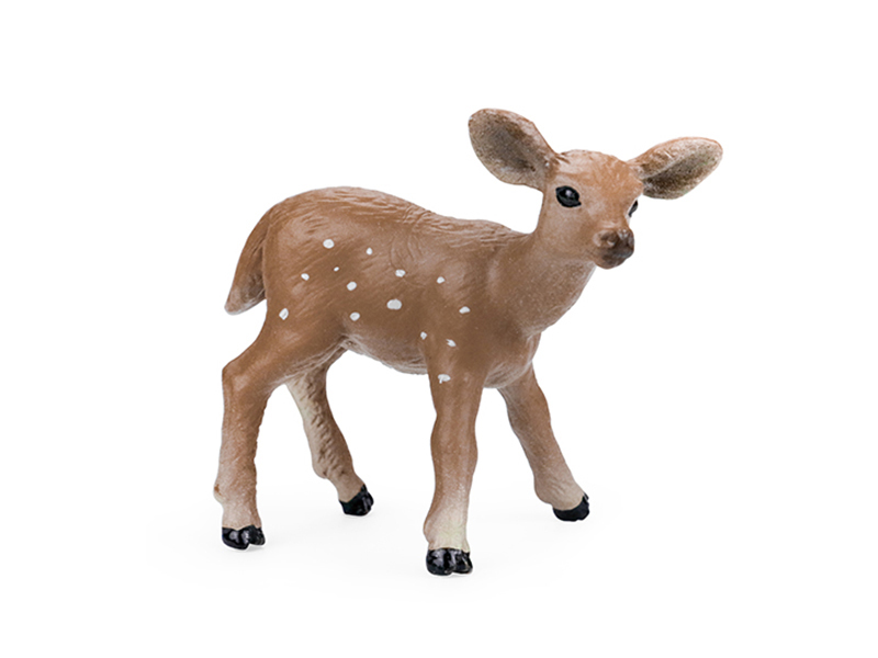 Little White-Tailed Deer Animal Model