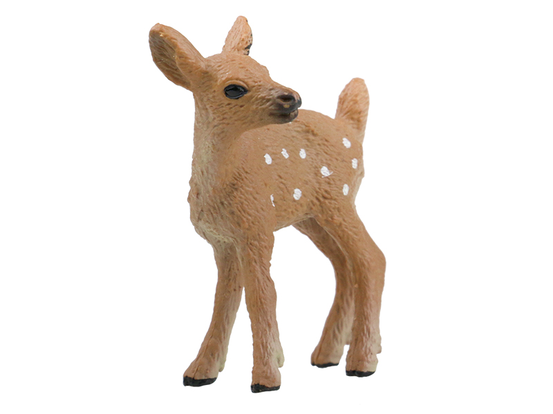 Little White-Tailed Deer Animal Model
