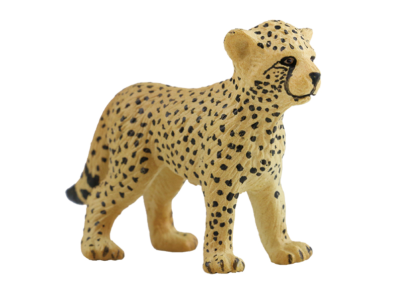 Cheetah Cub Animal Model