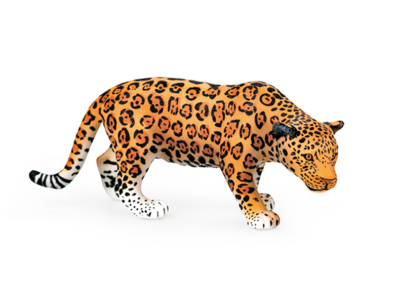Leopard Animal Model