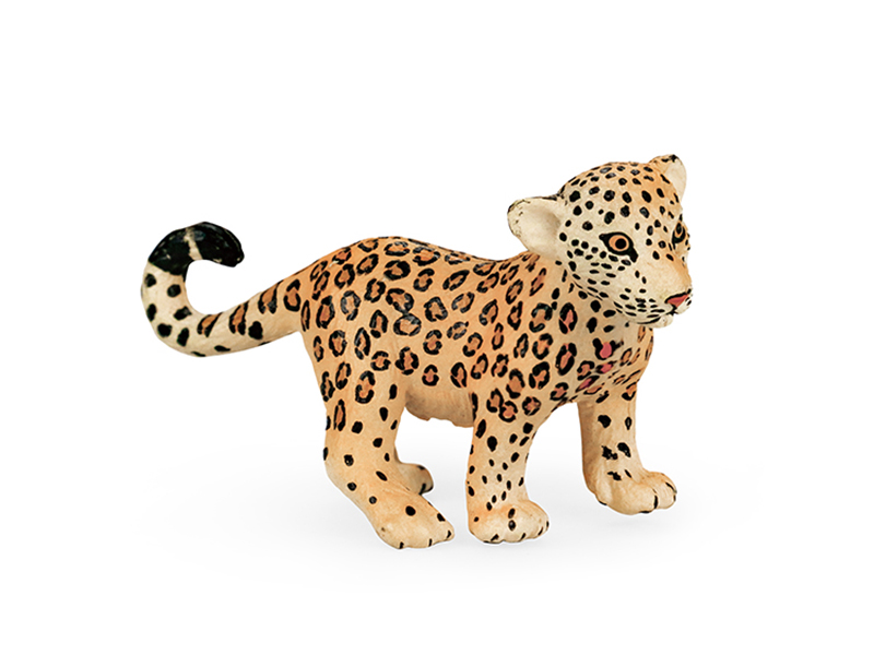 Leopard Cub Animal Model