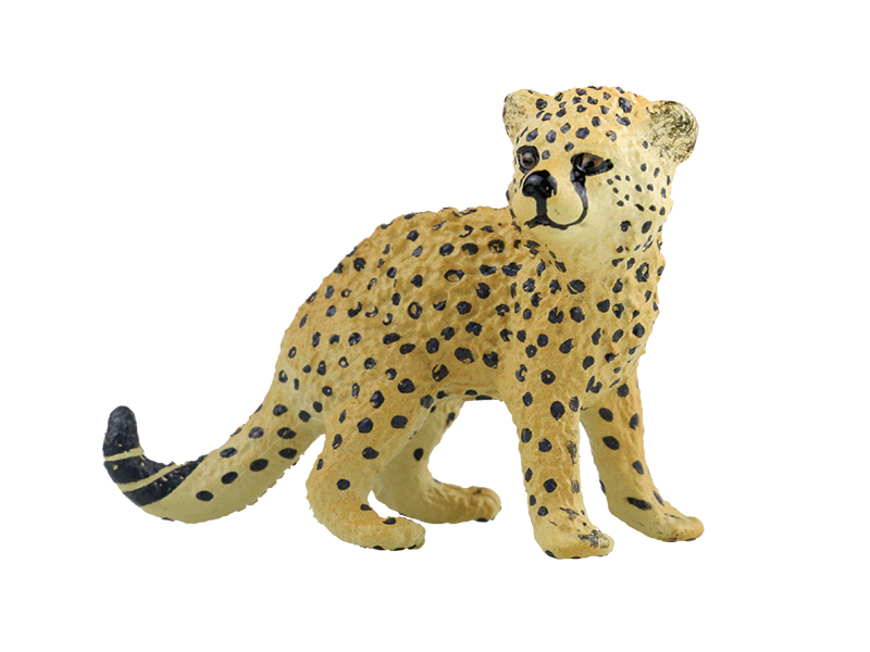 Leopard Cub Animal Model