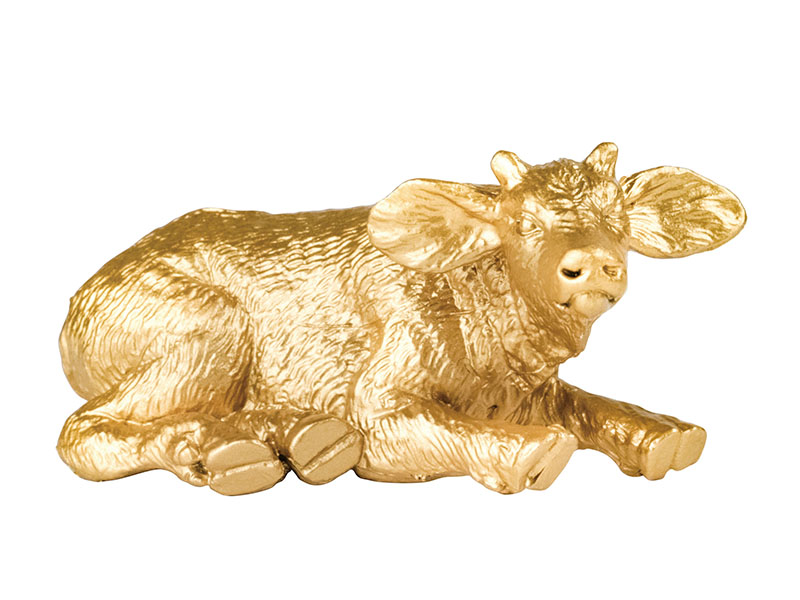 Buffalo Animal Model