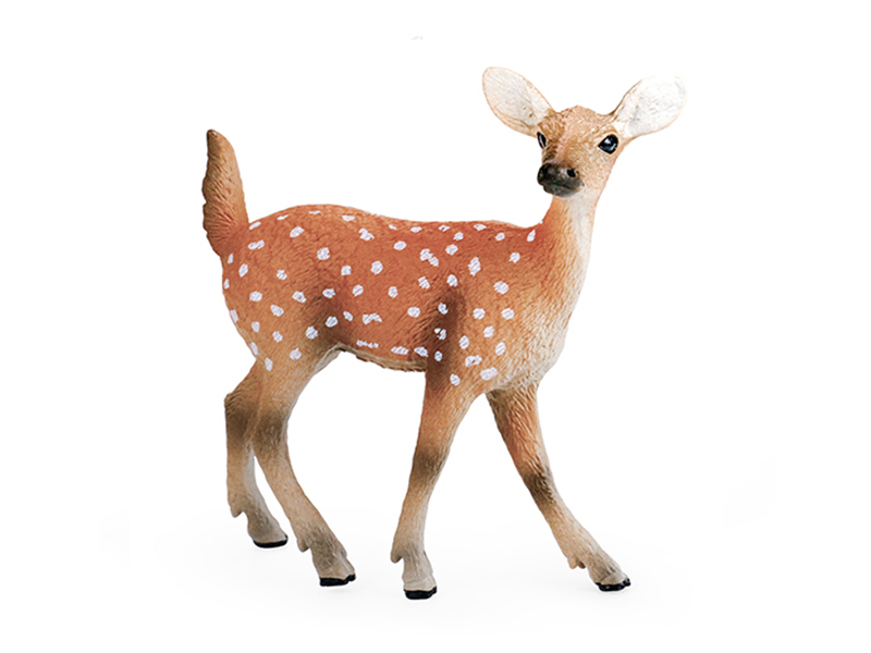 Female Sika Deer Animal Model