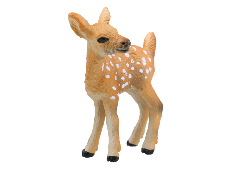 Baby Sika Deer Animal Model
