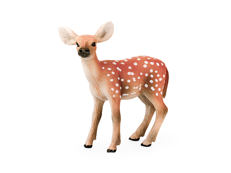 Female Sika Deer Animal Model