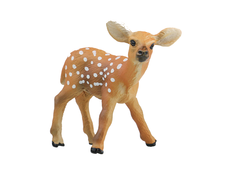 Baby Sika Deer Animal Model