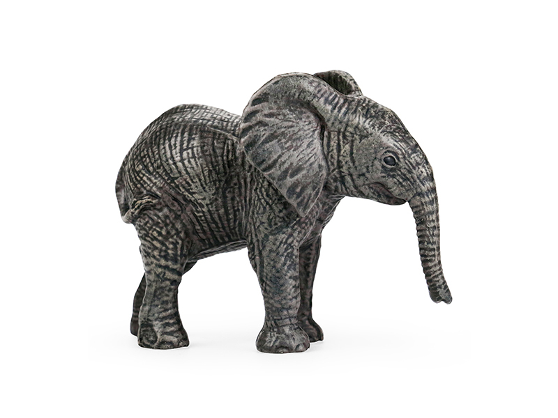 Baby Elephant Animal Model