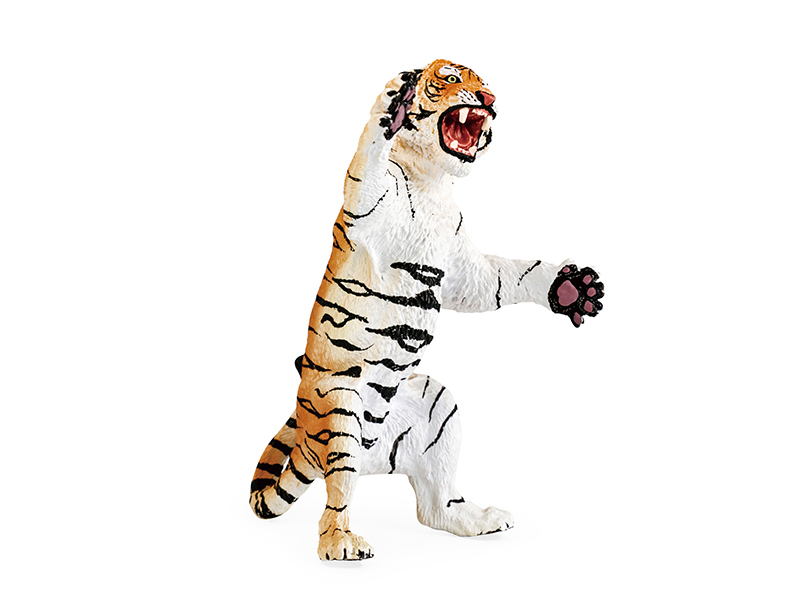 Male Tiger Animal Model