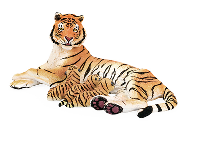 Tigress Animal Model