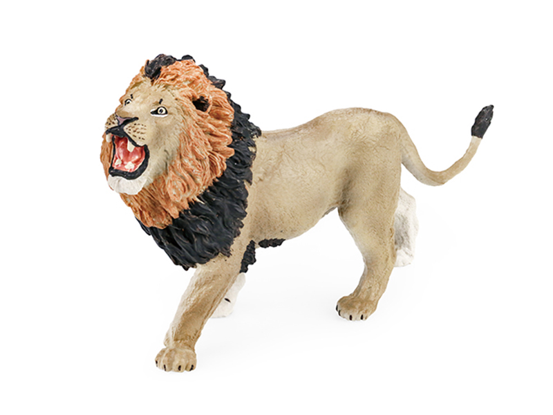 Male Lion Animal Model