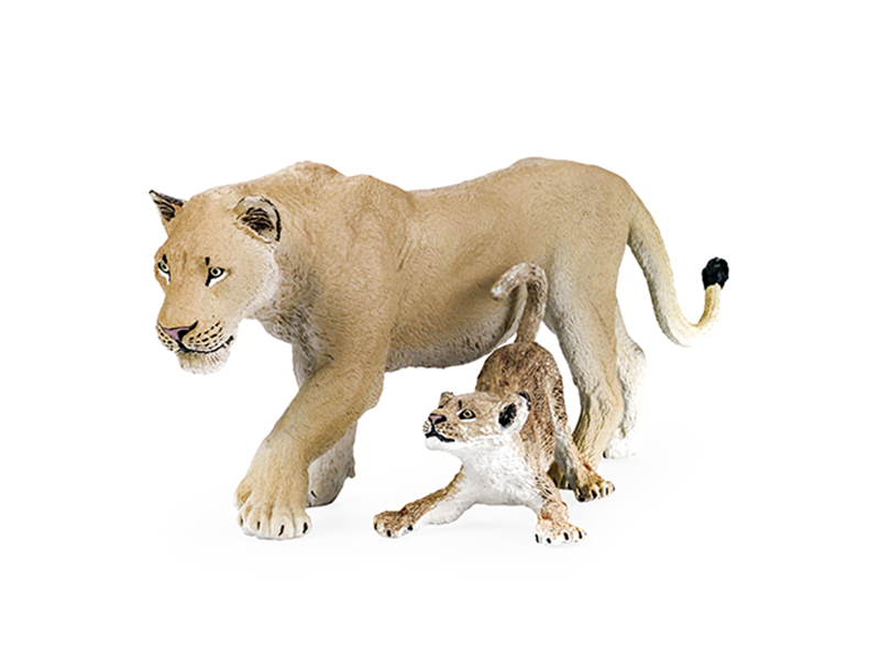 Lioness Animal Model