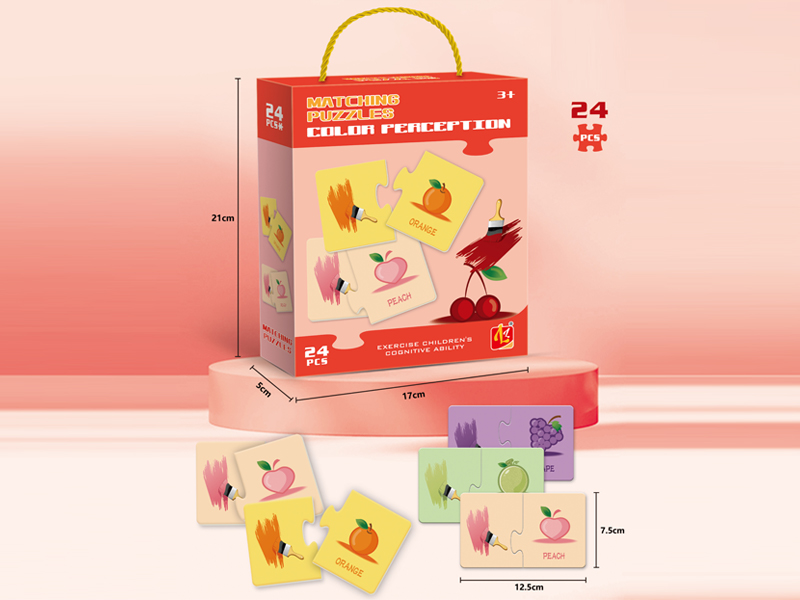 24PCS Color Perception Puzzle