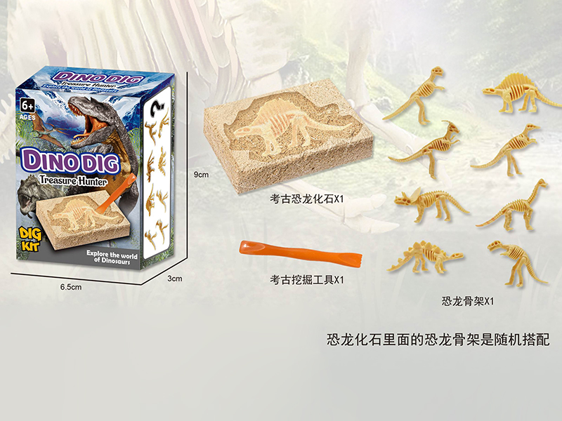 Archaeological Dinosaur Skeleton Fossil