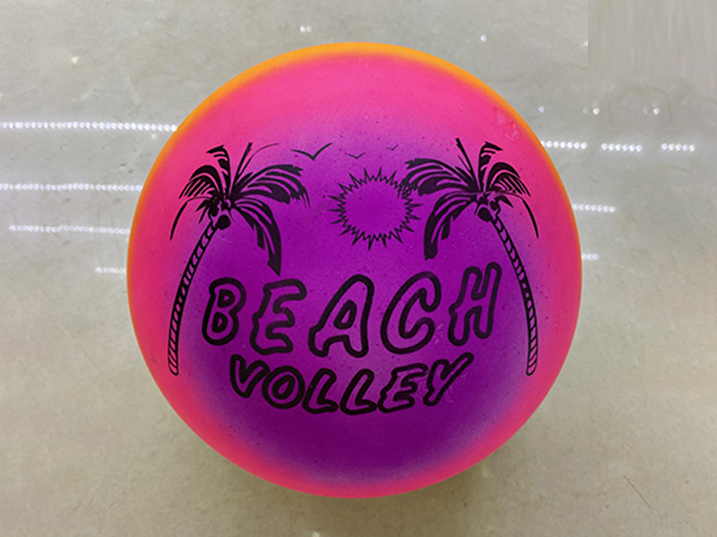 9 Inch Coconut Rainbow Ball