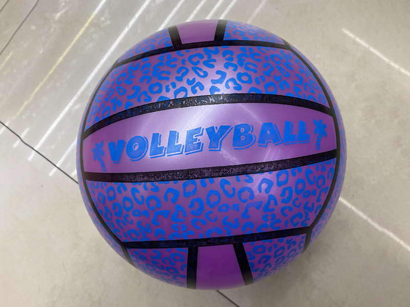 9 Inch Printed Ball