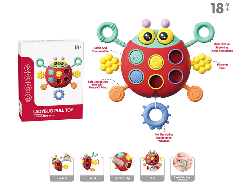 Ladybug Pull Toy