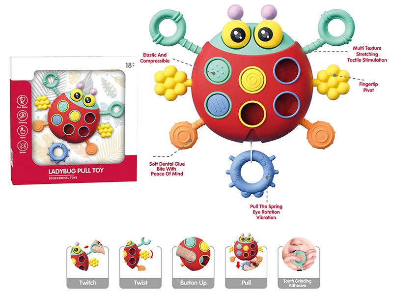 Ladybug Pull Toy