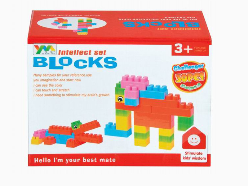 Building Blocks 30PCS