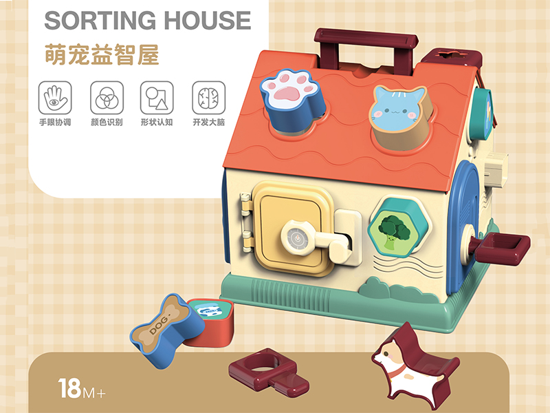 Shape Sorting House