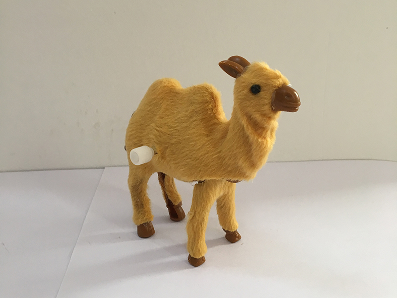 Wind Up Camel