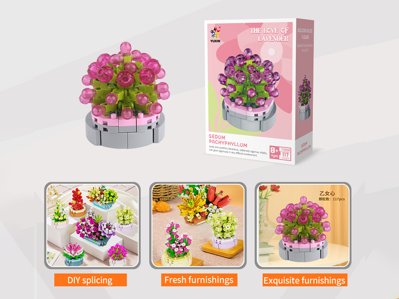 Sedum Pachyphyllum Building Blocks(117PCS)