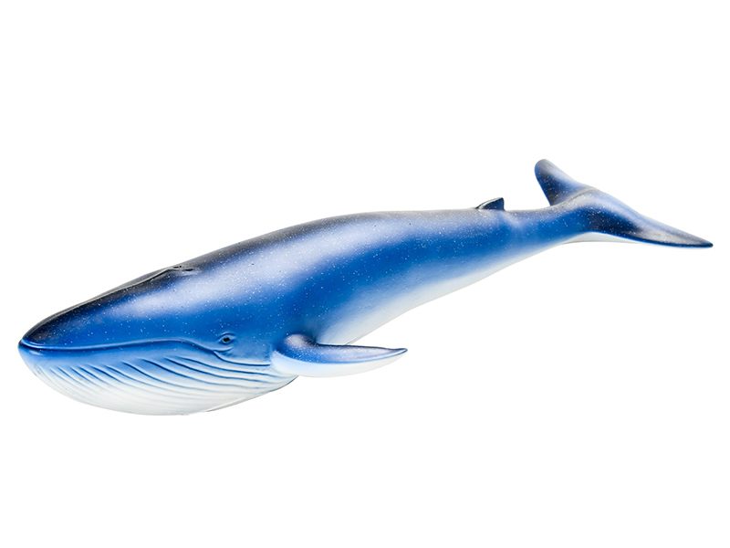 Vinyl Model Blue Whale Without IC