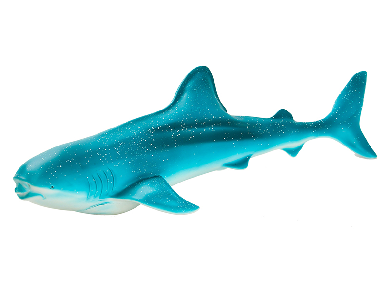 Vinyl Model Whale Shark Without IC