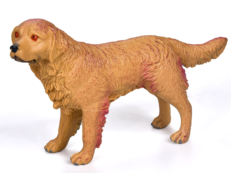 Vinyl Model Golden Retriever Without IC