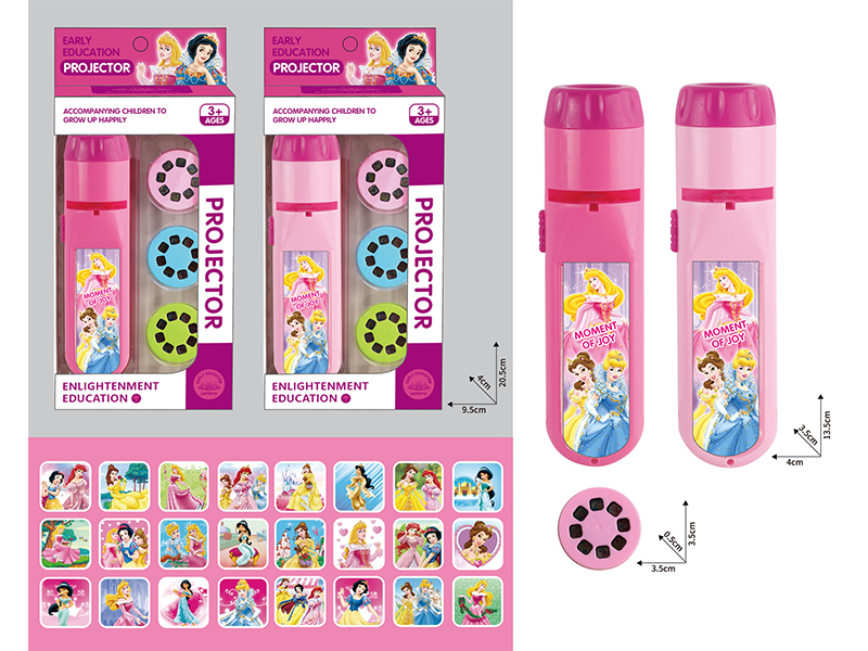 Early Education Projection Flashlight