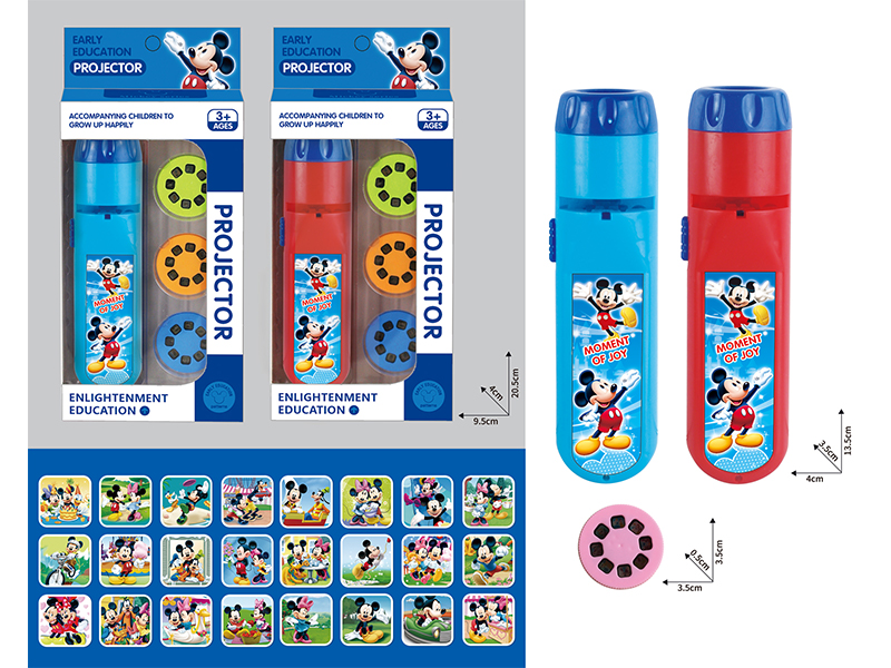 Early Education Projection Flashlight