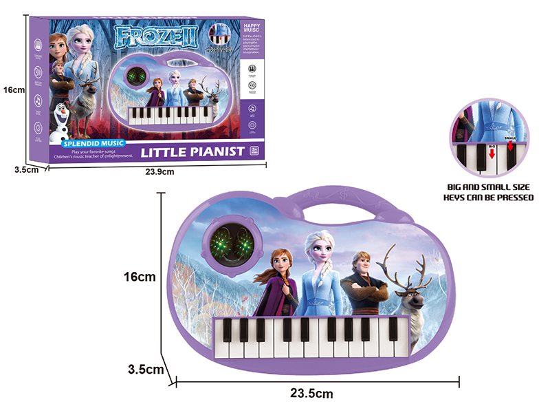 Frozen 22 Keys Electronic Organ( Purple)3D Lights/Music