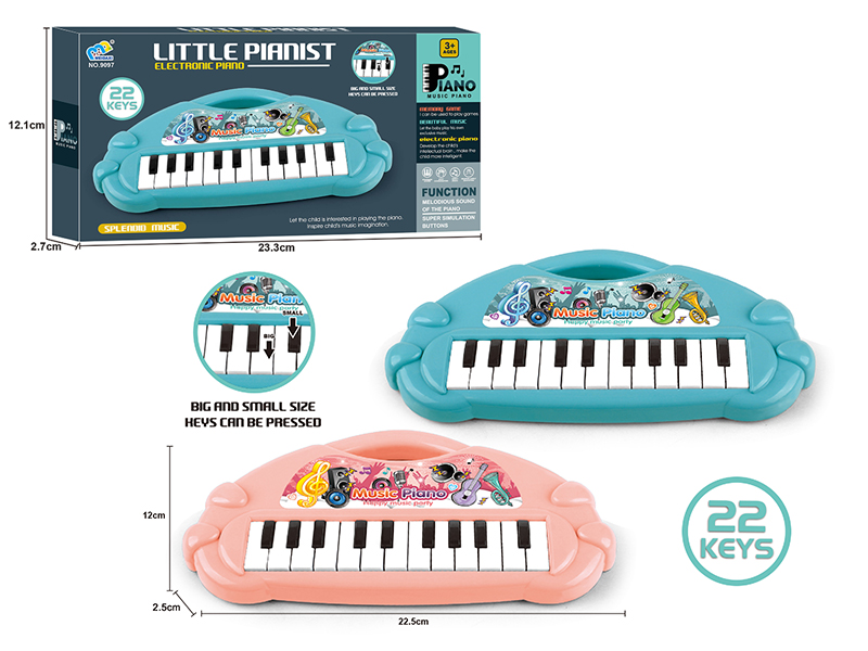 22 Keys Music Electronic Organ( 2 Colors)