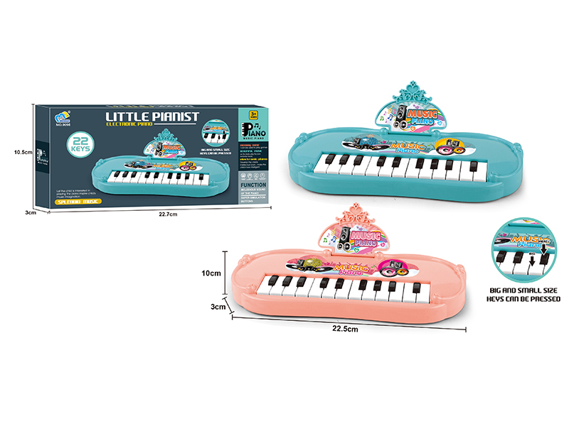 22 Keys Music Electronic Organ( 2 Colors)