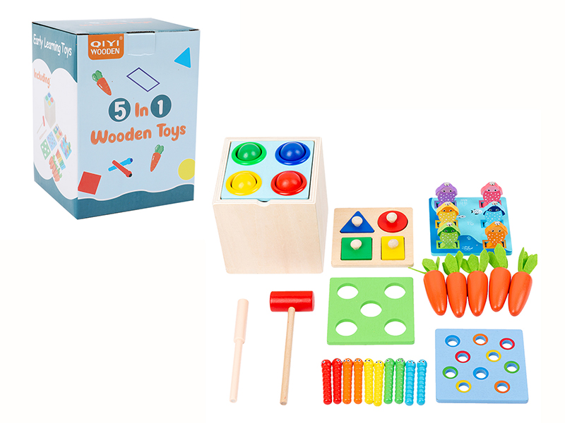 5 In 1 Wooden Toys