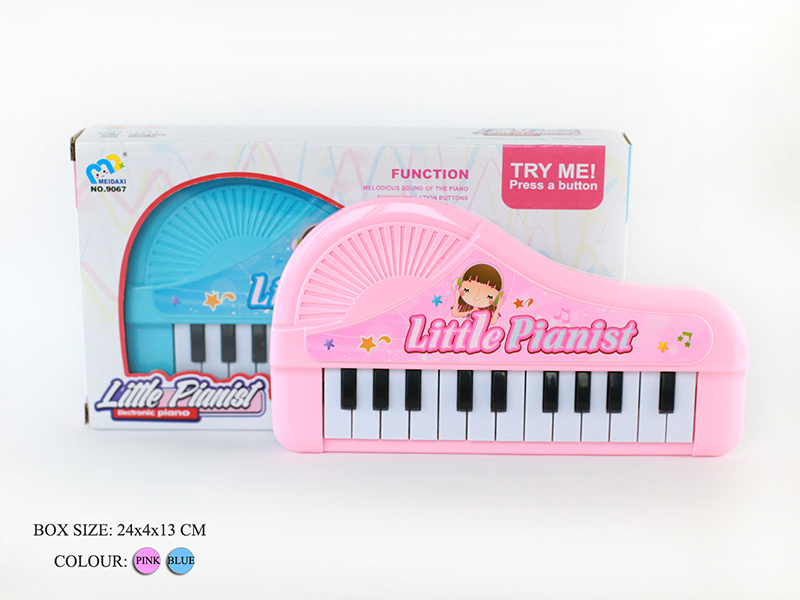Mini Electronic Organ(Pink/Light Blue)Music/22 Keys