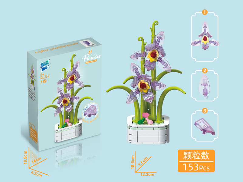 153Pcs Potted Building Blocks Of Cymbidium Lianpan Tang Et Wang