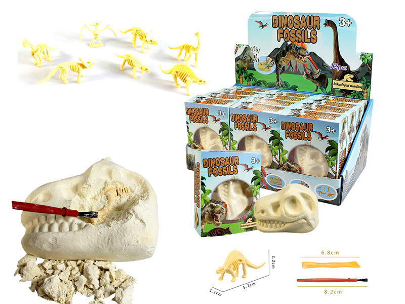 12PCS DIY Archaeological Dinosaur Fossil Skeleton Head