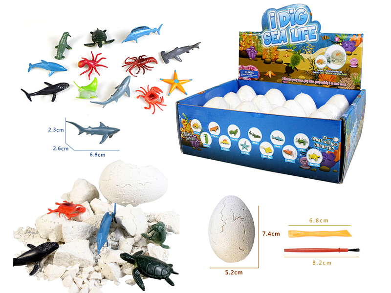 12PCS DIY Archaeological Marine Eggs